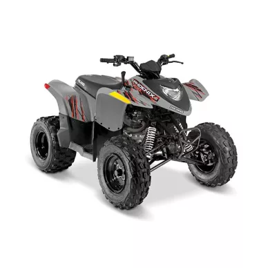 Polaris Phoenix 200 kuva