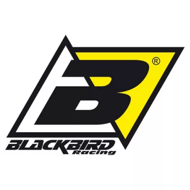 382-blackbirdlogo kuva