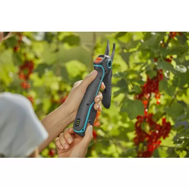 Gardena Oksasakset ASSISCUT 4 image