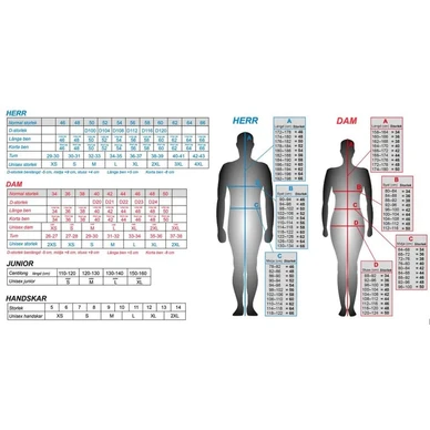 Lindstrands koko taulu kuva