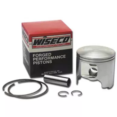 Wisecopiston image