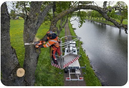 Korkea leikkuukapasiteetti